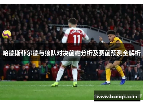 哈德斯菲尔德与狼队对决前瞻分析及赛前预测全解析